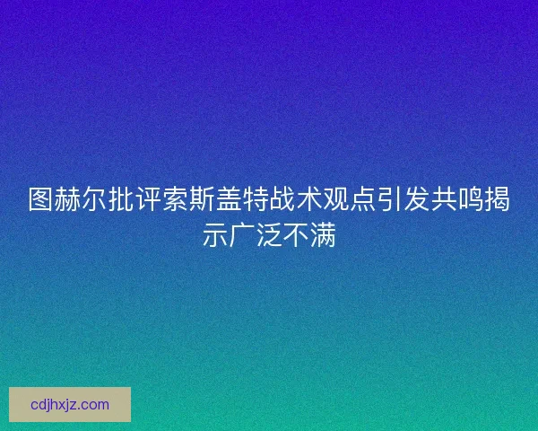 图赫尔批评索斯盖特战术观点引发共鸣揭示广泛不满